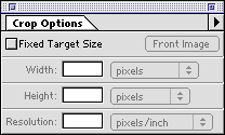 Crop options Photoshop 5 interface