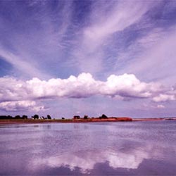 pictorial target