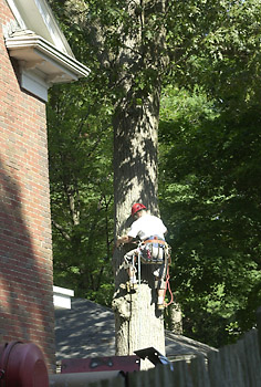 initial climb