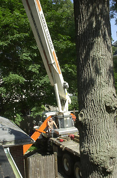 crane operator